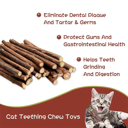 Natural Silvervine Cat Chew Sticks – 2 Packs (20 Sticks) Natural Matatabi Chew Toys for Cats & Kittens, Dental Care, Teeth Cleaning, Calm Anxiety, Aggressive Chewer Toy, Interactive Play Toys Chewtoy