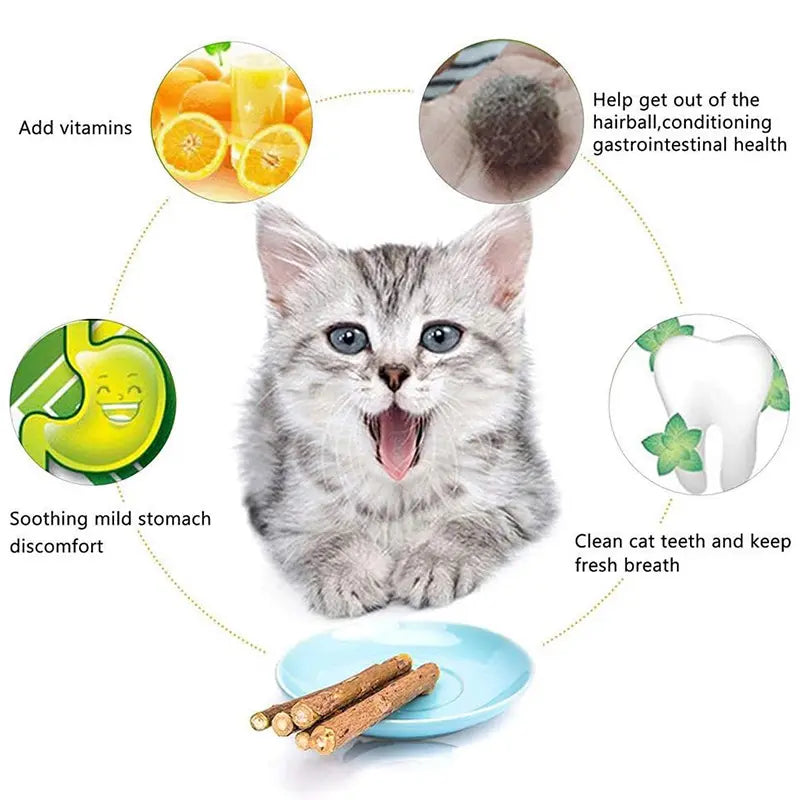 Natural Silvervine Cat Chew Sticks – 2 Packs (20 Sticks) Natural Matatabi Chew Toys for Cats & Kittens, Dental Care, Teeth Cleaning, Calm Anxiety, Aggressive Chewer Toy, Interactive Play Toys Chewtoy