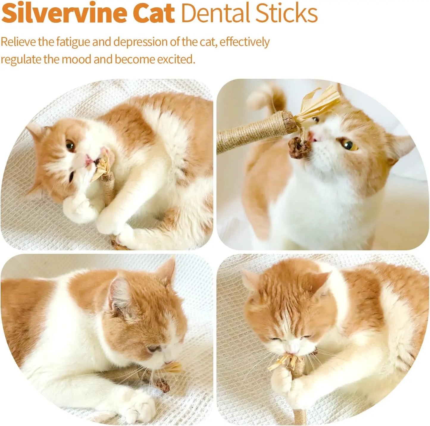 Premium Cat Chew Stick Toy, Natural Silvervine Sticks Cat Toys, Catnip Alternative Cat Chew Toys Teeth Cleaning, Matatabi Cat Treat, Edible Kitty Toys