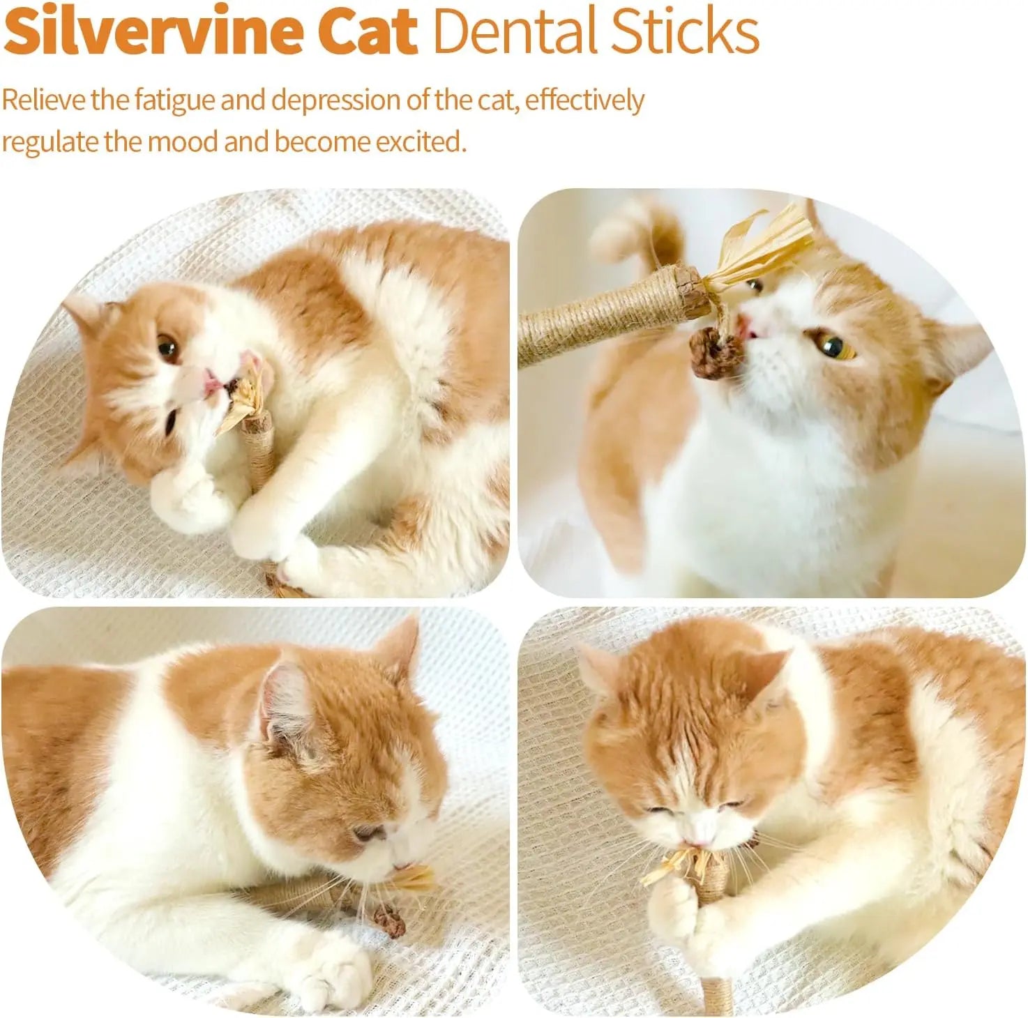 Premium Cat Chew Stick Toy, Natural Silvervine Sticks Cat Toys, Catnip Alternative Cat Chew Toys Teeth Cleaning, Matatabi Cat Treat, Edible Kitty Toys