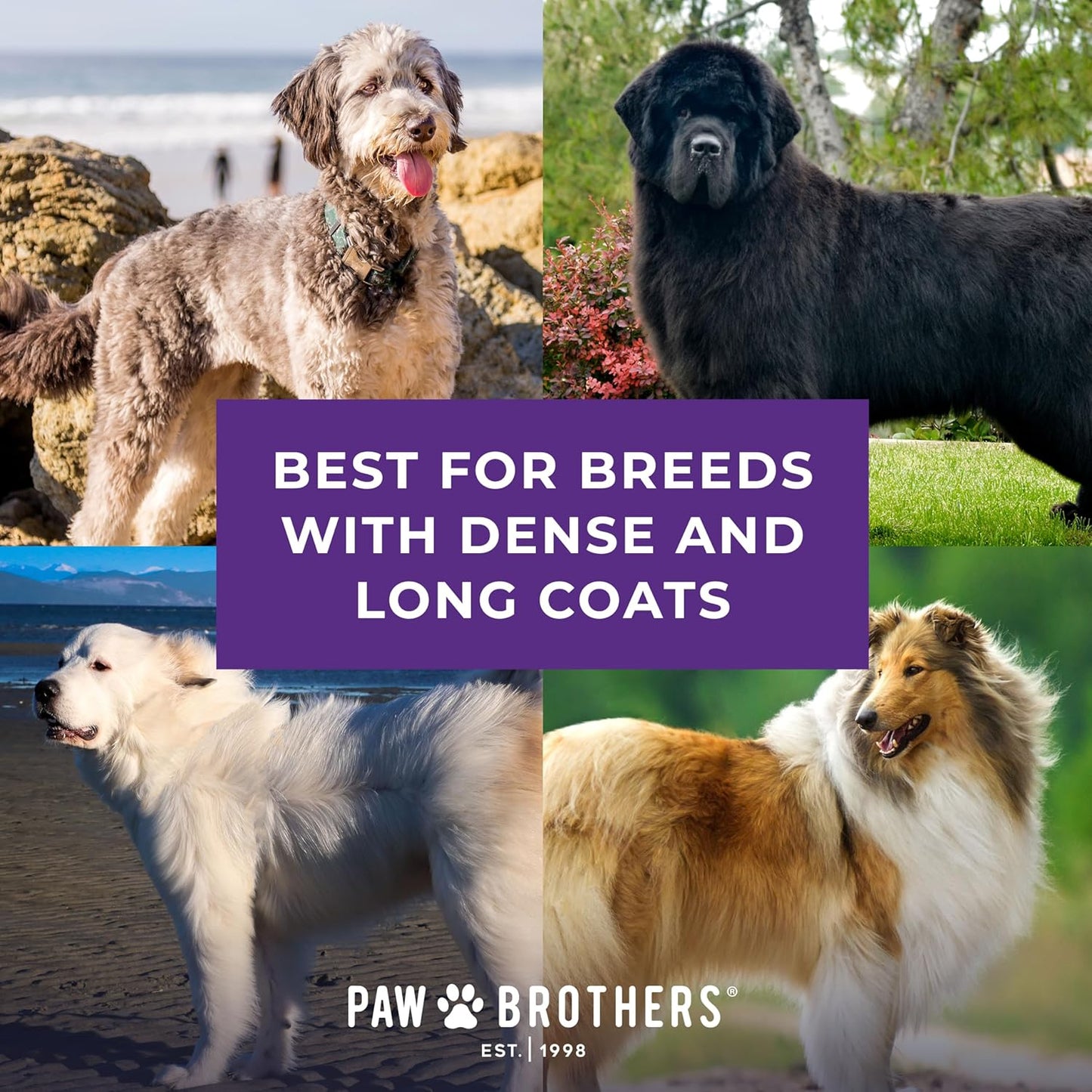 Paw Brothers Professional Grade Soft Pin Flat Slicker Brush for Large Dogs - X-Large with Coated Tips for Gentle Grooming, Effective Tangle and Mat Removal, Maximum Coverage