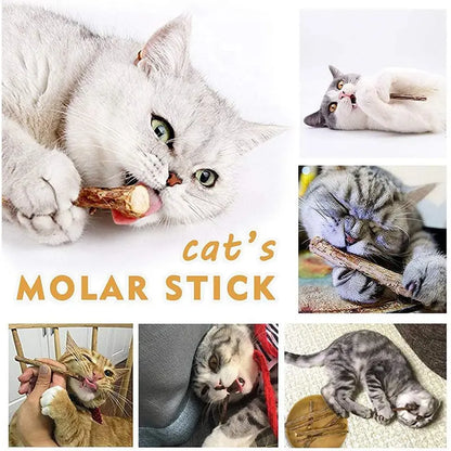 Natural Silvervine Cat Chew Sticks – 2 Packs (20 Sticks) Natural Matatabi Chew Toys for Cats & Kittens, Dental Care, Teeth Cleaning, Calm Anxiety, Aggressive Chewer Toy, Interactive Play Toys Chewtoy