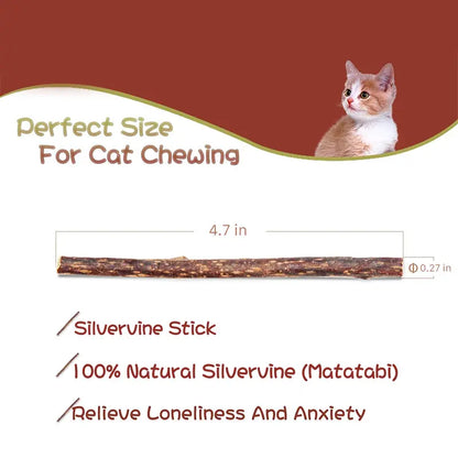 Natural Silvervine Cat Chew Sticks – 2 Packs (20 Sticks) Natural Matatabi Chew Toys for Cats & Kittens, Dental Care, Teeth Cleaning, Calm Anxiety, Aggressive Chewer Toy, Interactive Play Toys Chewtoy