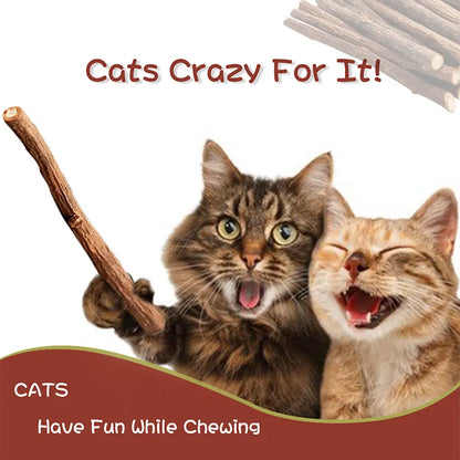 Natural Silvervine Cat Chew Sticks – 2 Packs (20 Sticks) Natural Matatabi Chew Toys for Cats & Kittens, Dental Care, Teeth Cleaning, Calm Anxiety, Aggressive Chewer Toy, Interactive Play Toys Chewtoy