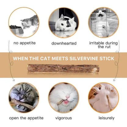 Natural Silvervine Cat Chew Sticks – 2 Packs (20 Sticks) Natural Matatabi Chew Toys for Cats & Kittens, Dental Care, Teeth Cleaning, Calm Anxiety, Aggressive Chewer Toy, Interactive Play Toys Chewtoy