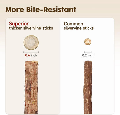 Premium Cat Chew Stick Toy, Natural Silvervine Sticks Cat Toys, Catnip Alternative Cat Chew Toys Teeth Cleaning, Matatabi Cat Treat, Edible Kitty Toys